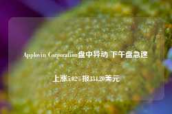 Applovin Corporation盘中异动 下午盘急速上涨5.02%报334.20美元