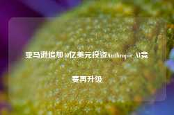 亚马逊追加40亿美元投资Anthropic AI竞赛再升级