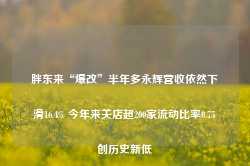 胖东来“爆改”半年多永辉营收依然下滑16.4% 今年来关店超200家流动比率0.75创历史新低