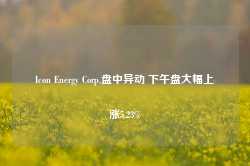 Icon Energy Corp.盘中异动 下午盘大幅上涨5.23%