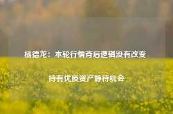 杨德龙：本轮行情背后逻辑没有改变 持有优质资产静待机会