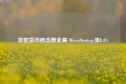 加密货币概念股走高 MicroStrategy涨8.4%