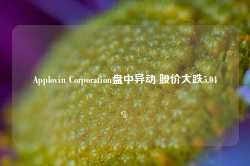 Applovin Corporation盘中异动 股价大跌5.04%