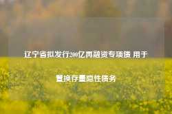 辽宁省拟发行200亿再融资专项债 用于置换存量隐性债务