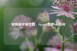 权限被故意泄露，OpenAI暂停Sora访问