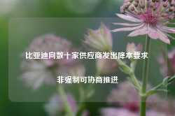 比亚迪向数十家供应商发出降本要求 非强制可协商推进