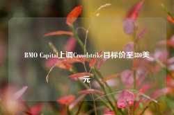 BMO Capital上调Crowdstrike目标价至380美元