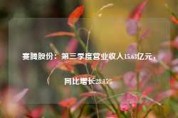 赛腾股份：第三季度营业收入15.63亿元，同比增长28.15%