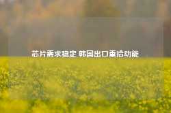 芯片需求稳定 韩国出口重拾动能