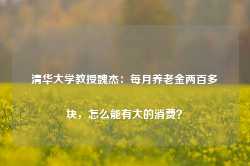 清华大学教授魏杰：每月养老金两百多块，怎么能有大的消费？