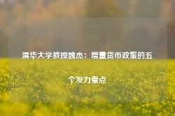 清华大学教授魏杰：增量货币政策的五个发力重点