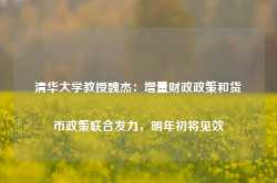 清华大学教授魏杰：增量财政政策和货币政策联合发力，明年初将见效