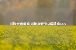 欧股开盘普跌 欧洲斯托克50指数跌0.85%