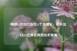 韩国11月出口连续14个月增长，芯片出口125亿美元再创历史新高