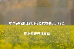 中国银行浙江省分行原党委书记、行长郭心刚被开除党籍