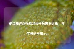 铜缆高速连接概念股午后震荡走高，神宇股份涨超16%