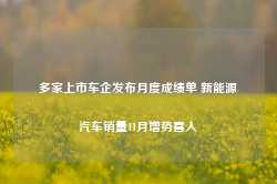 多家上市车企发布月度成绩单 新能源汽车销量11月增势喜人