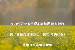 发力对公业务合规不能忽视 这家银行因“贷后管理不到位”被罚 年内已有5家银行被监管亮黄牌