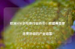 欧洲SEMI半导体行业协会：欧盟需要更连贯协调的产业政策