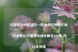 法国政治风险溢价+欧洲央行降息不明 对冲欧元大幅波动成本触及2023年3月以来新高