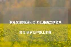 欧元区服务业PMI自1月以来首次跌破荣枯线 疲软经济雪上加霜