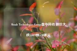 Shoals Technologies Group盘中异动 股价大跌5.04%报4.90美元