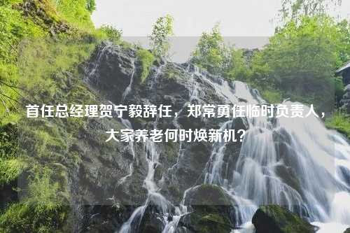 首任总经理贺宁毅辞任，郑常勇任临时负责人，大家养老何时焕新机？