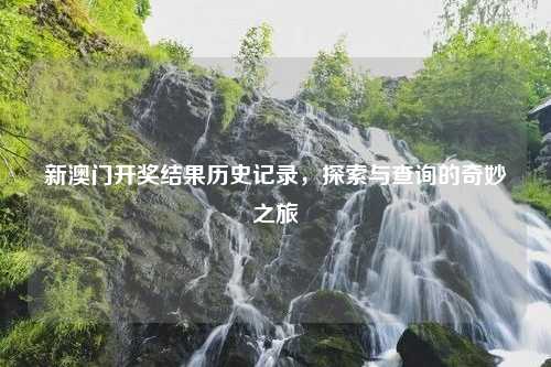 新澳门开奖结果历史记录，探索与查询的奇妙之旅