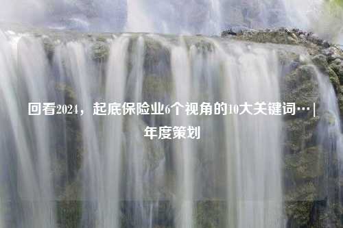 回看2024，起底保险业6个视角的10大关键词…|年度策划