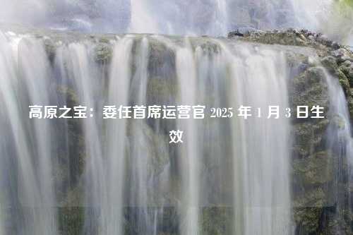 高原之宝：委任首席运营官 2025 年 1 月 3 日生效