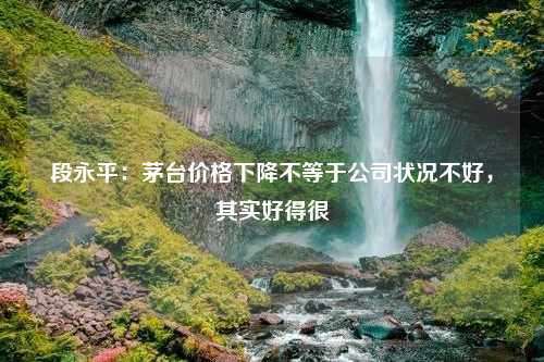 段永平：茅台价格下降不等于公司状况不好，其实好得很