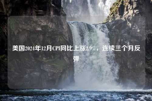 美国2024年12月CPI同比上涨2.9%，连续三个月反弹