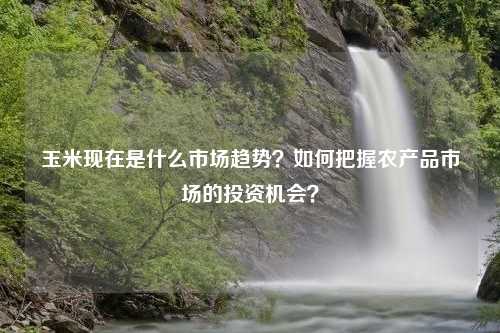 玉米现在是什么市场趋势？如何把握农产品市场的投资机会？